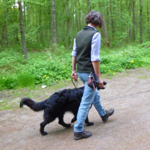 Hundetraining Spaziergang: Bei Fuss